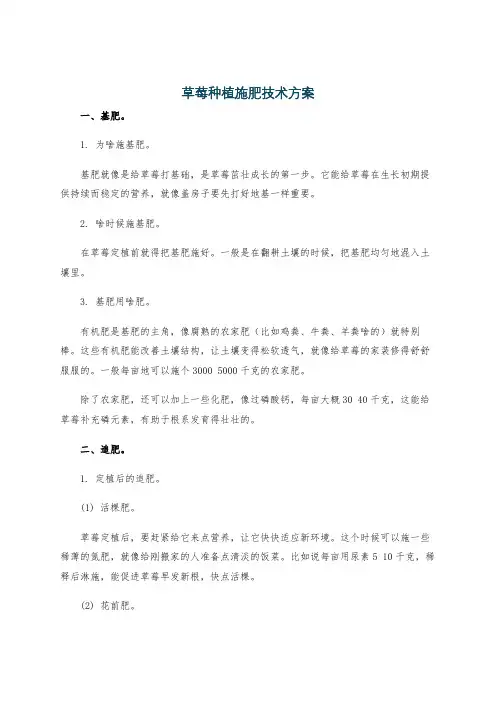 草莓种植施肥技术方案