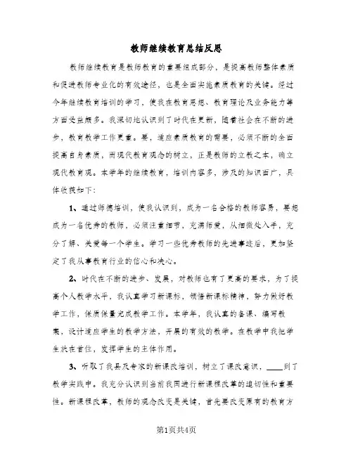 教师继续教育总结反思（3篇）