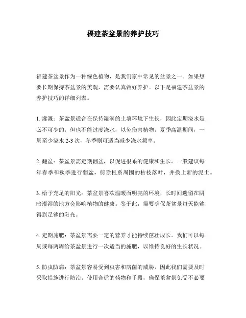 福建茶盆景的养护技巧