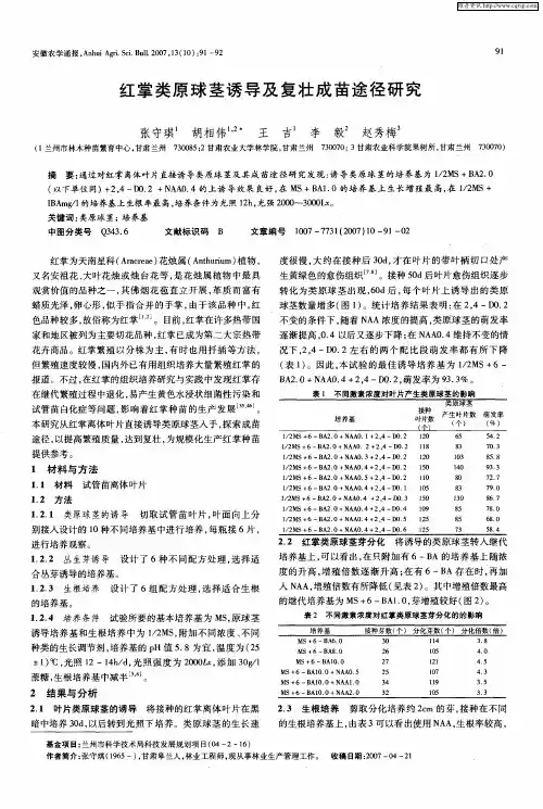红掌类原球茎诱导及复壮成苗途径研究