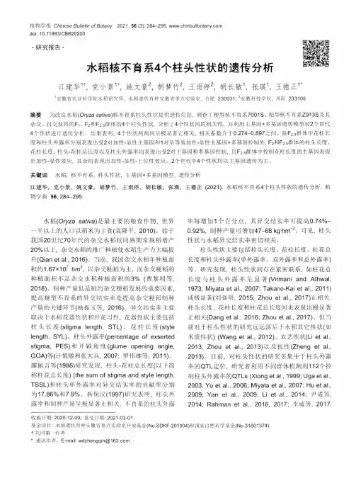 水稻核不育系4个柱头性状的遗传分析