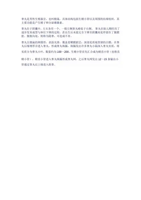 睾丸结构和功能的基本单位
