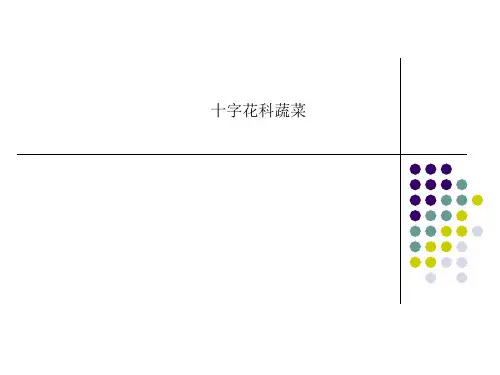 十字花科蔬菜