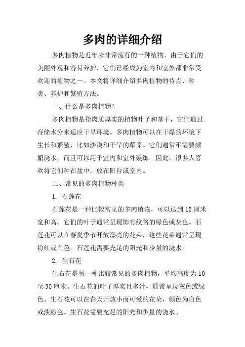 多肉的详细介绍