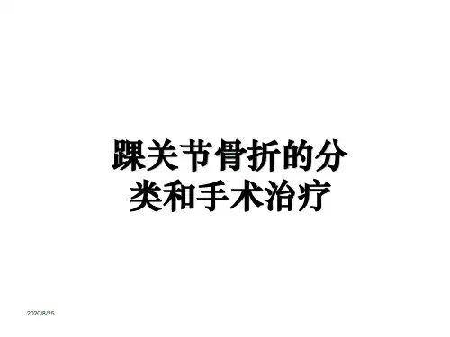 踝关节骨折的分类和手术治疗ppt课件