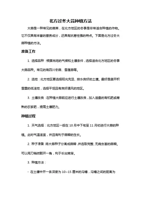 北方过冬大蒜种植方法