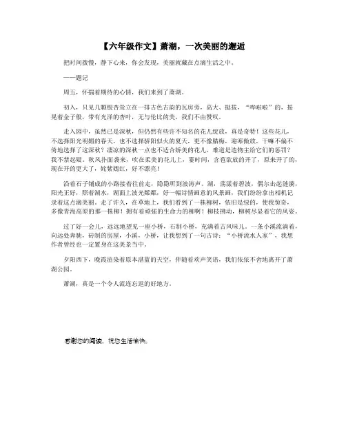 【六年级作文】萧湖,一次美丽的邂逅