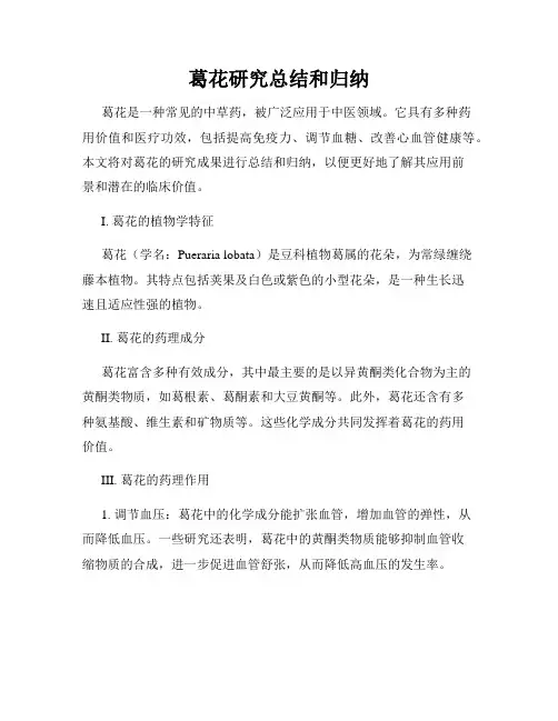 葛花研究总结和归纳