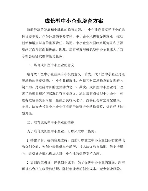 成长型中小企业培育方案