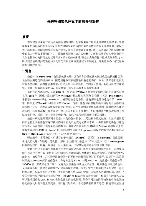 果蝇唾腺染色体标本的制备与观察