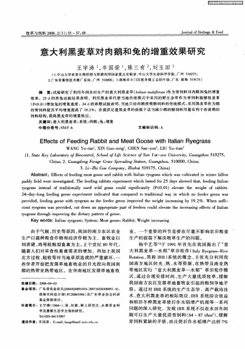 意大利黑麦草对肉鹅和兔的增重效果研究