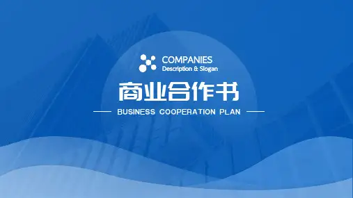 商业合作 ppt