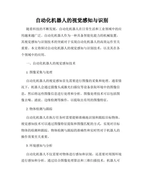 自动化机器人的视觉感知与识别