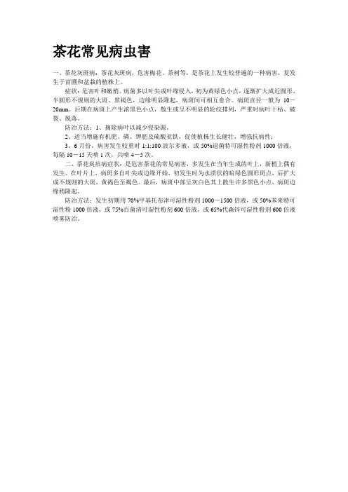 茶花常见病虫害