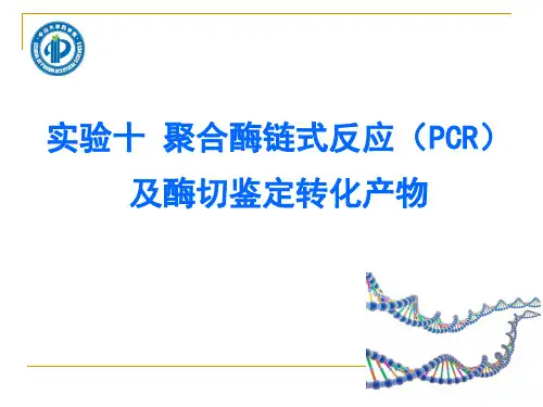 生物化学与分子生物学实验：实验十 聚合酶链式反应(PCR)及酶切鉴定转化产物