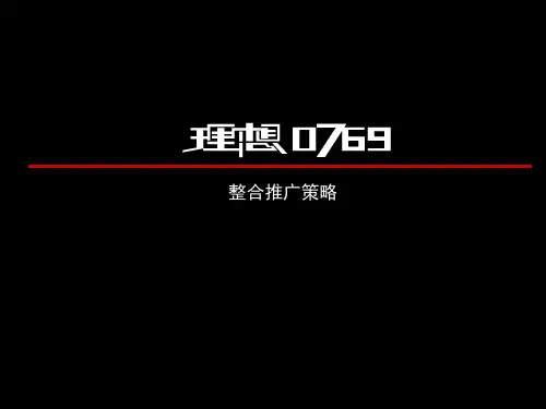 项目整合推广策略方案-文档资料