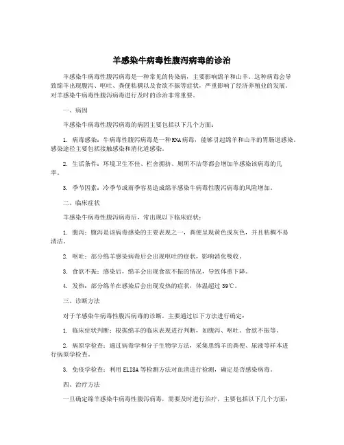 羊感染牛病毒性腹泻病毒的诊治
