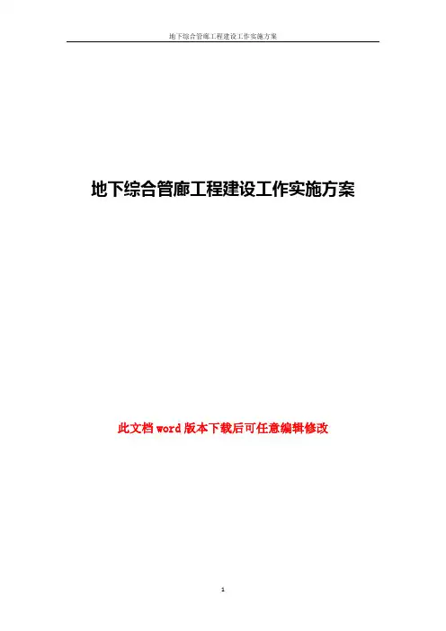 地下综合管廊工程建设工作实施方案