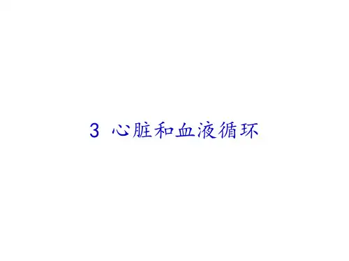 五年级科学上册教学课件4.3心脏和血液循环2苏教版11张(共11张PPT)