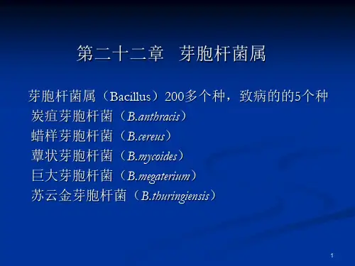 芽孢杆菌属ppt课件