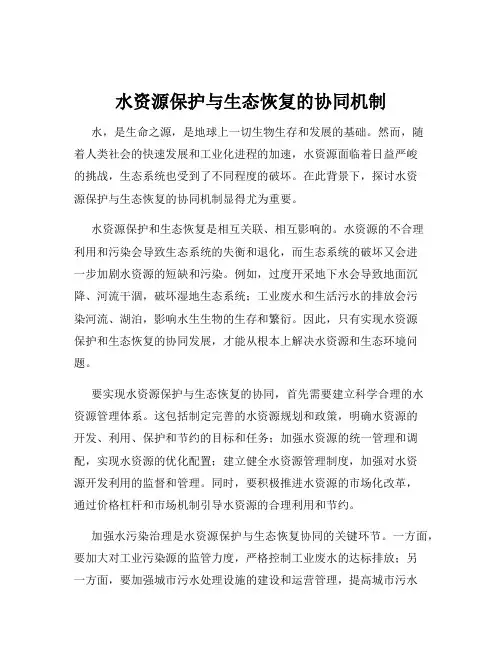 水资源保护与生态恢复的协同机制