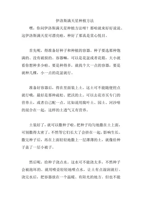 伊洛斯满天星种植方法