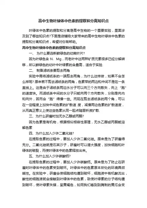 高中生物叶绿体中色素的提取和分离知识点