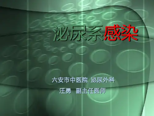 课件-泌尿系感染