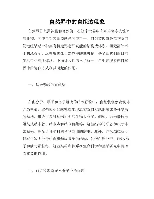 自然界中的自组装现象