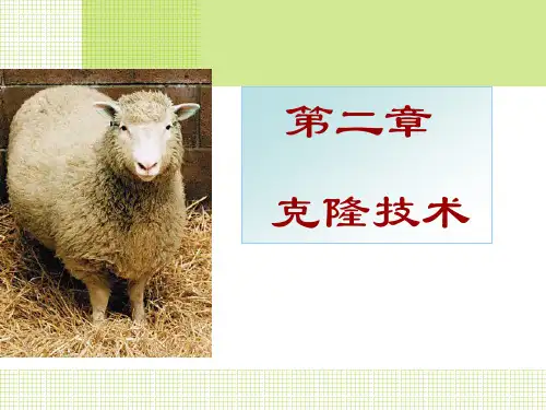 浙教版高中生物选修3第二章第一节  什么是克隆 课件 (共21张PPT)