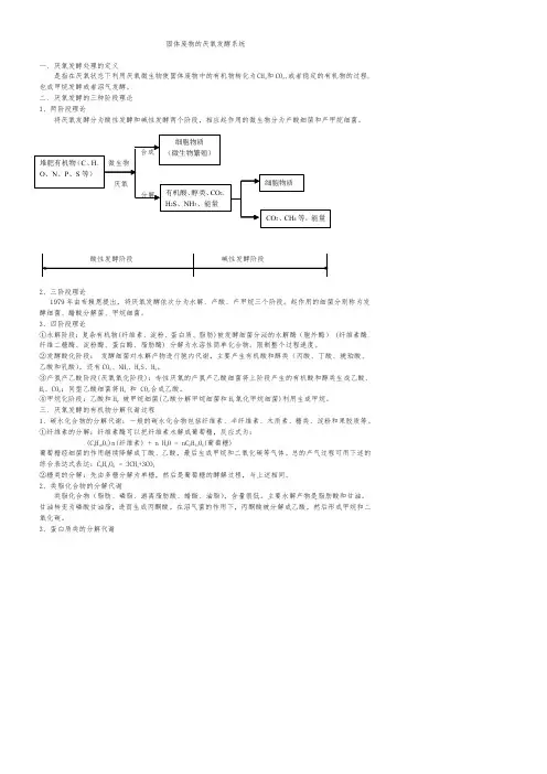 -固体废物的厌氧发酵系统