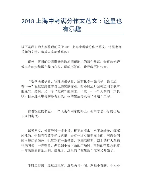 2018上海中考满分作文范文：这里也有乐趣 (2)