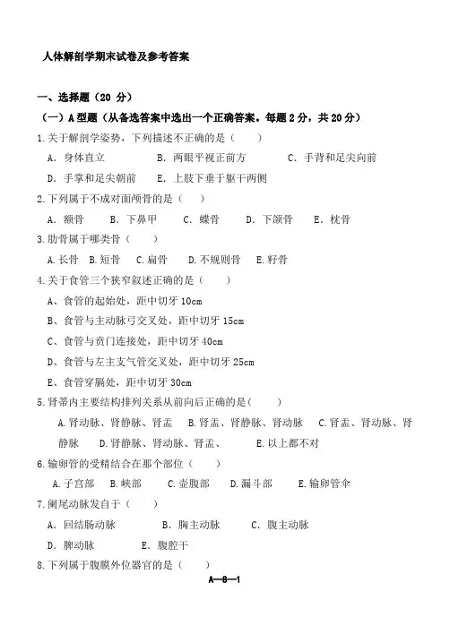 人体解剖解剖试卷