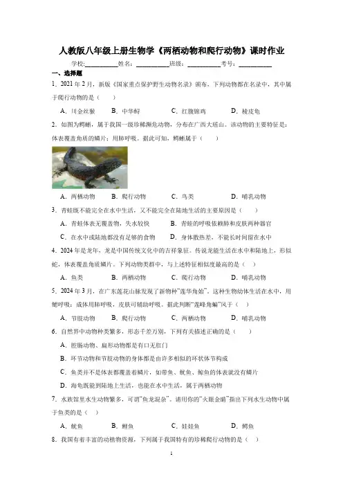 人教版八年级上册生物学《两栖动物和爬行动物》课时作业(含答案)
