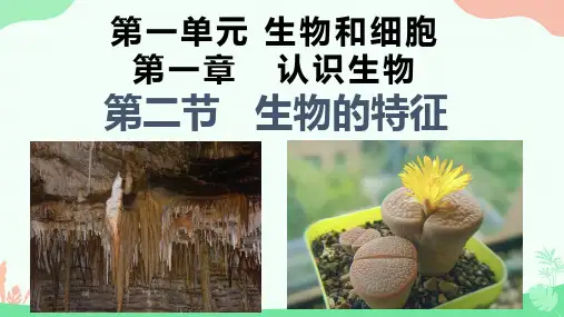 生物的特征ppt课件