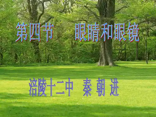 眼睛和眼镜(1)PPT课件(人教版)