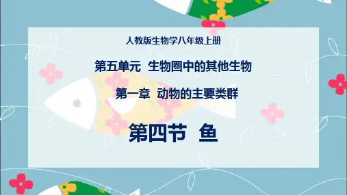 人教版初二八年级生物 鱼 名师教学PPT课件