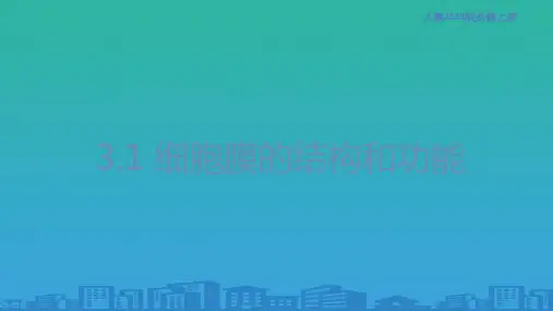 【新教材精创】3.1 细胞膜的结构和功能 课件(1)-人教版高中生物必修1分子与细胞(共23张PPT)