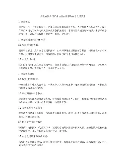 煤业有限公司矿井地质灾害事故应急救援预案