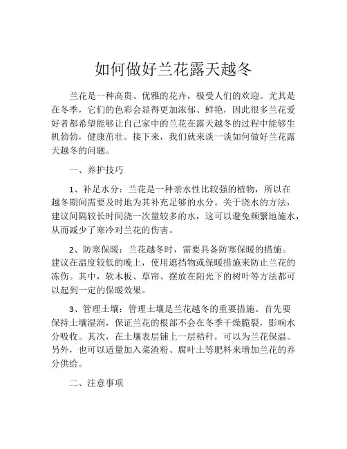 如何做好兰花露天越冬