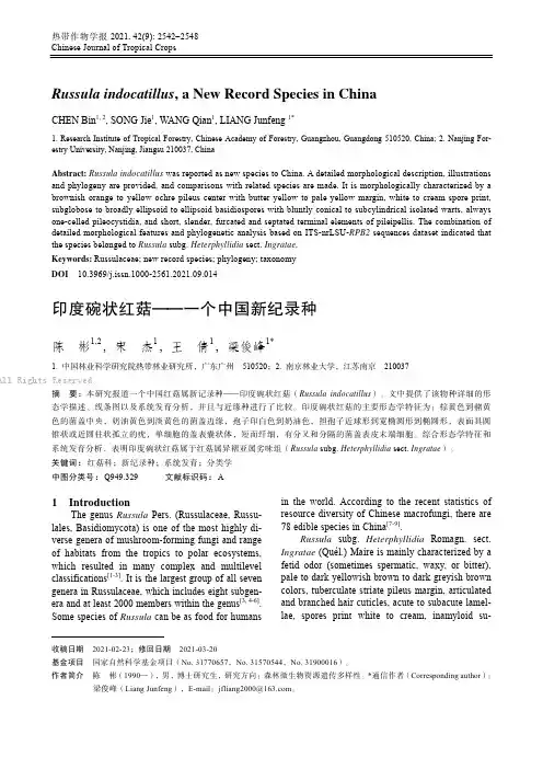 印度碗状红菇——一个中国新纪录种（英文）