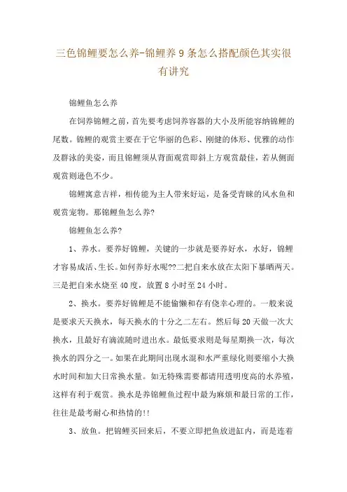 三色锦鲤要怎么养-锦鲤养9条怎么搭配颜色其实很有讲究