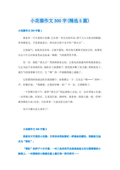 小花猫作文300字(精选5篇)