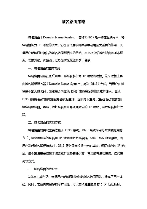 域名路由策略
