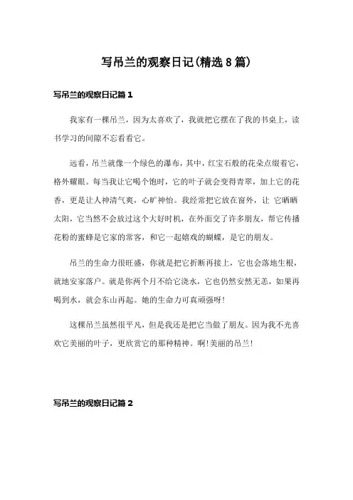 写吊兰的观察日记(精选8篇)