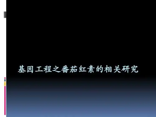 基因工程之番茄红素研究