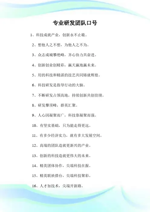 专业研发团队口号.doc