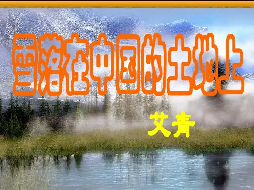 雪落在中国的土地上ppt课件12