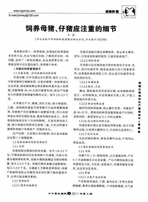 饲养母猪、仔猪应注重的细节