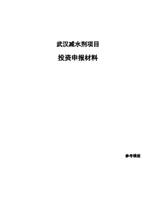 武汉减水剂项目投资申报材料